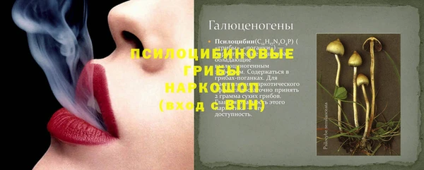 прущая мука Карпинск